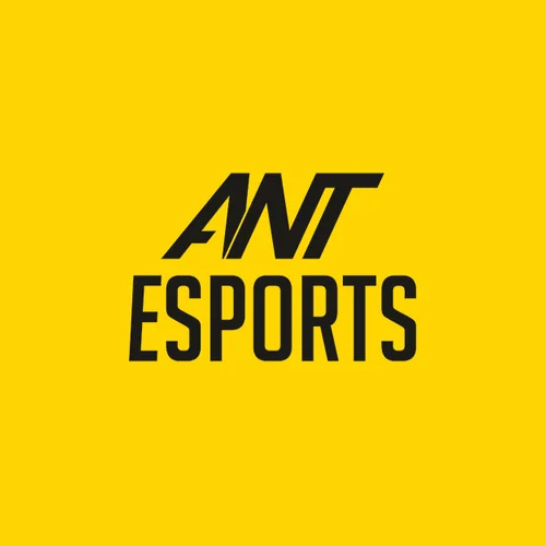ANT ESPORTS Cabinet