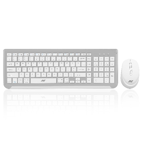 Keyboard Mouse Ant Professional Wireless Combo WK250 White Silver